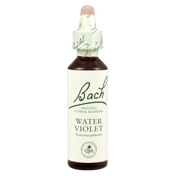 Bachblüten Water Violet Nr. 34