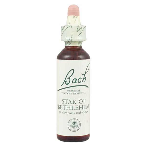 Bachblüten Star of Bethlehem Nr. 29