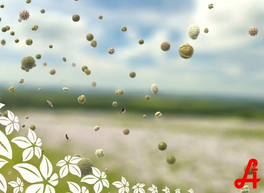 Heuschnupfen vorbeugen – So startest du richtig in die Pollensaison