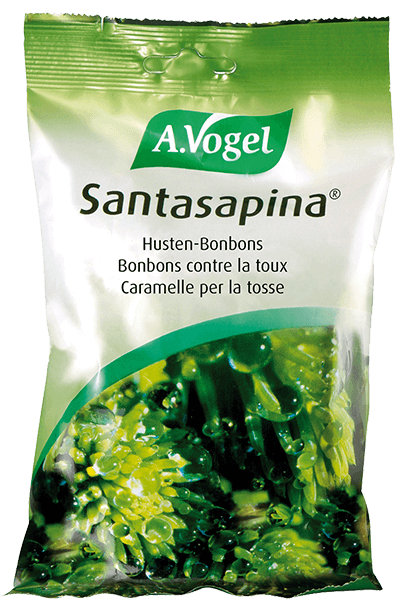 Santasapina A.Vogel