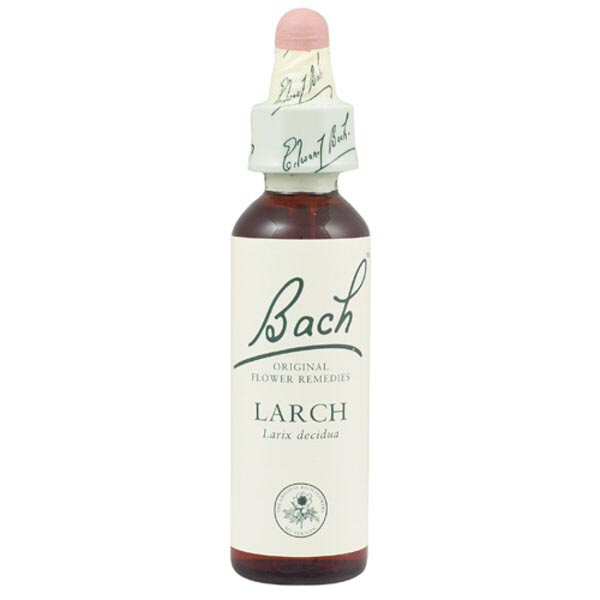 1551280HtyyoPI1ZkAwh Bachblüten Larch Nr. 19