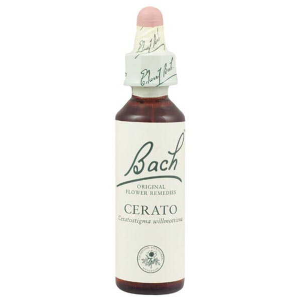1551127xUajHxHHaoQI0 Bachblüten Cerato Nr. 5
