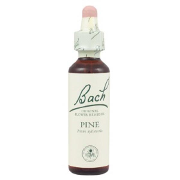 1551334RF4r0H6jOn4GN Bachblüten Pine Nr. 24