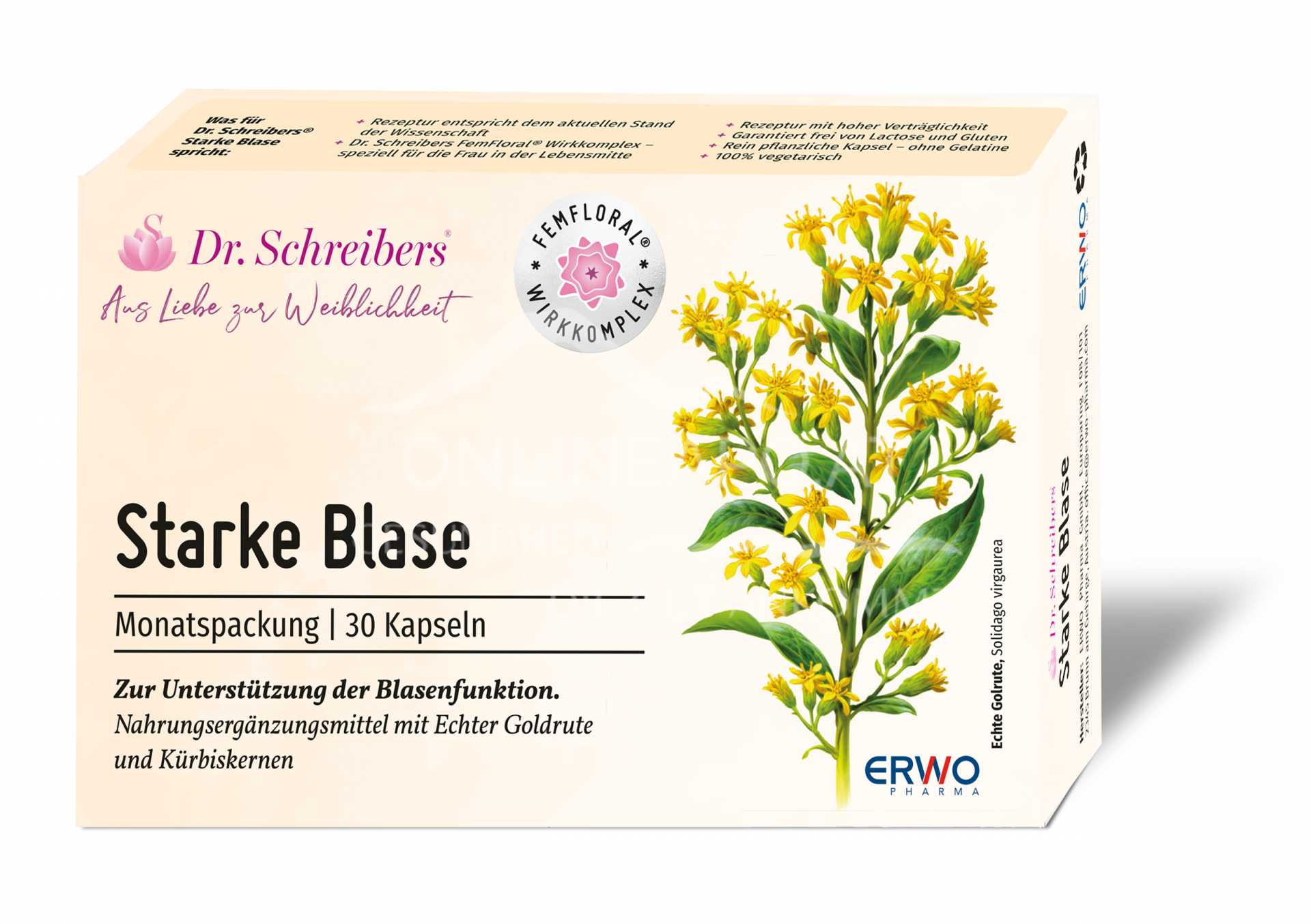 Dr. Schreibers Starke Blase Kapseln