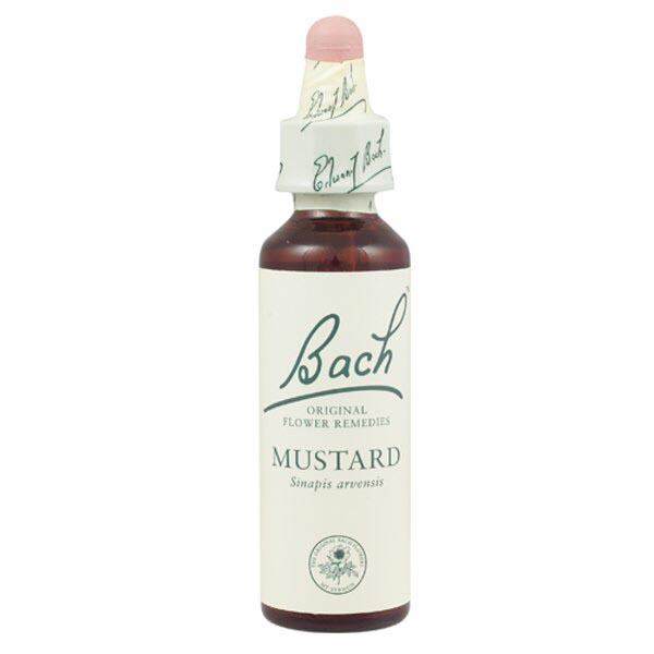 1551305cVmFDwbprvHuZ Bachblüten Mustard Nr. 21